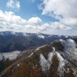 Meet your Posher, Barry